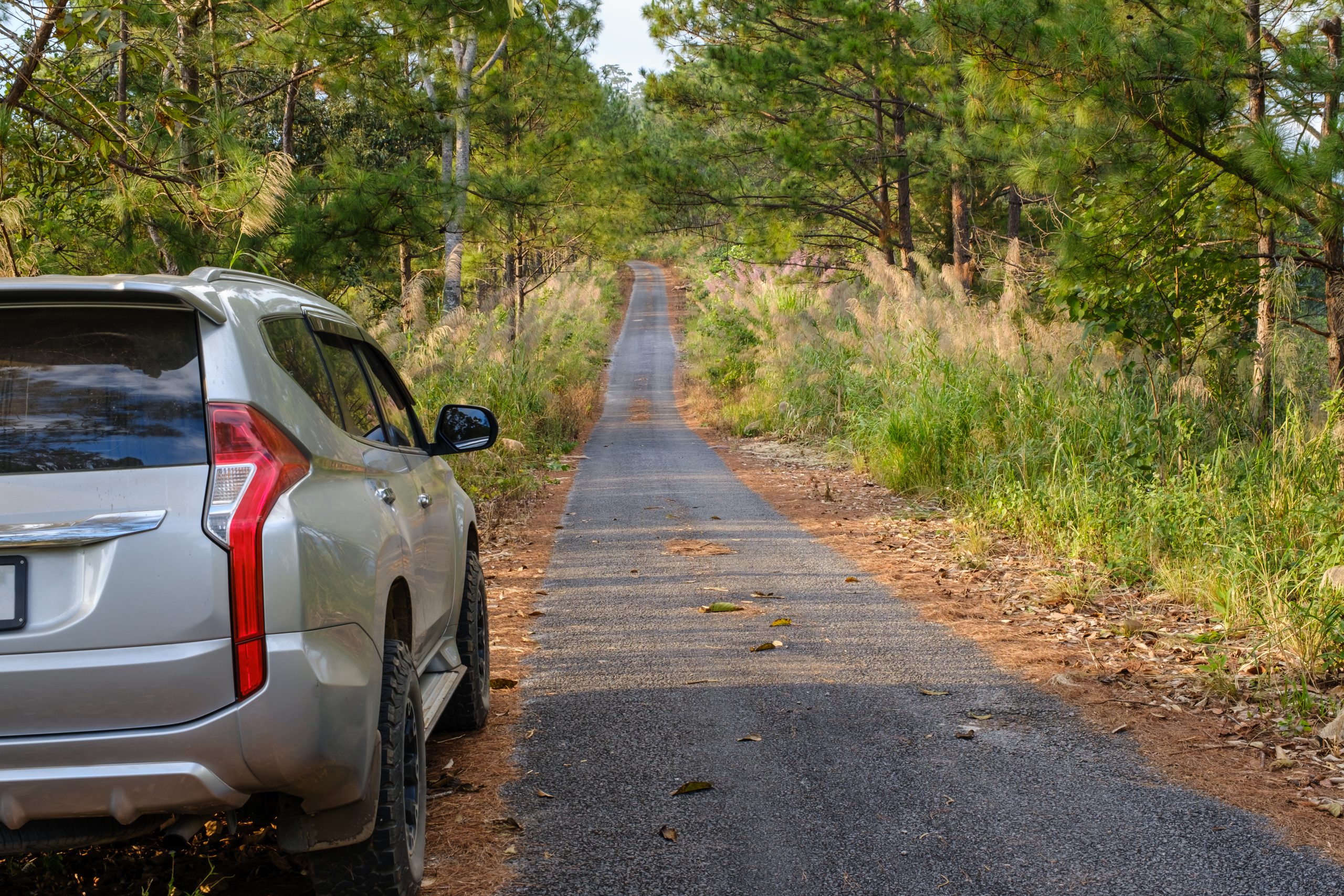 Mitsubishi Pajero hitam elegan disewakan di Jakarta oleh Bina Sarana Sakti