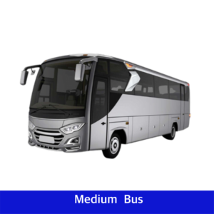 bus medium 30 seat